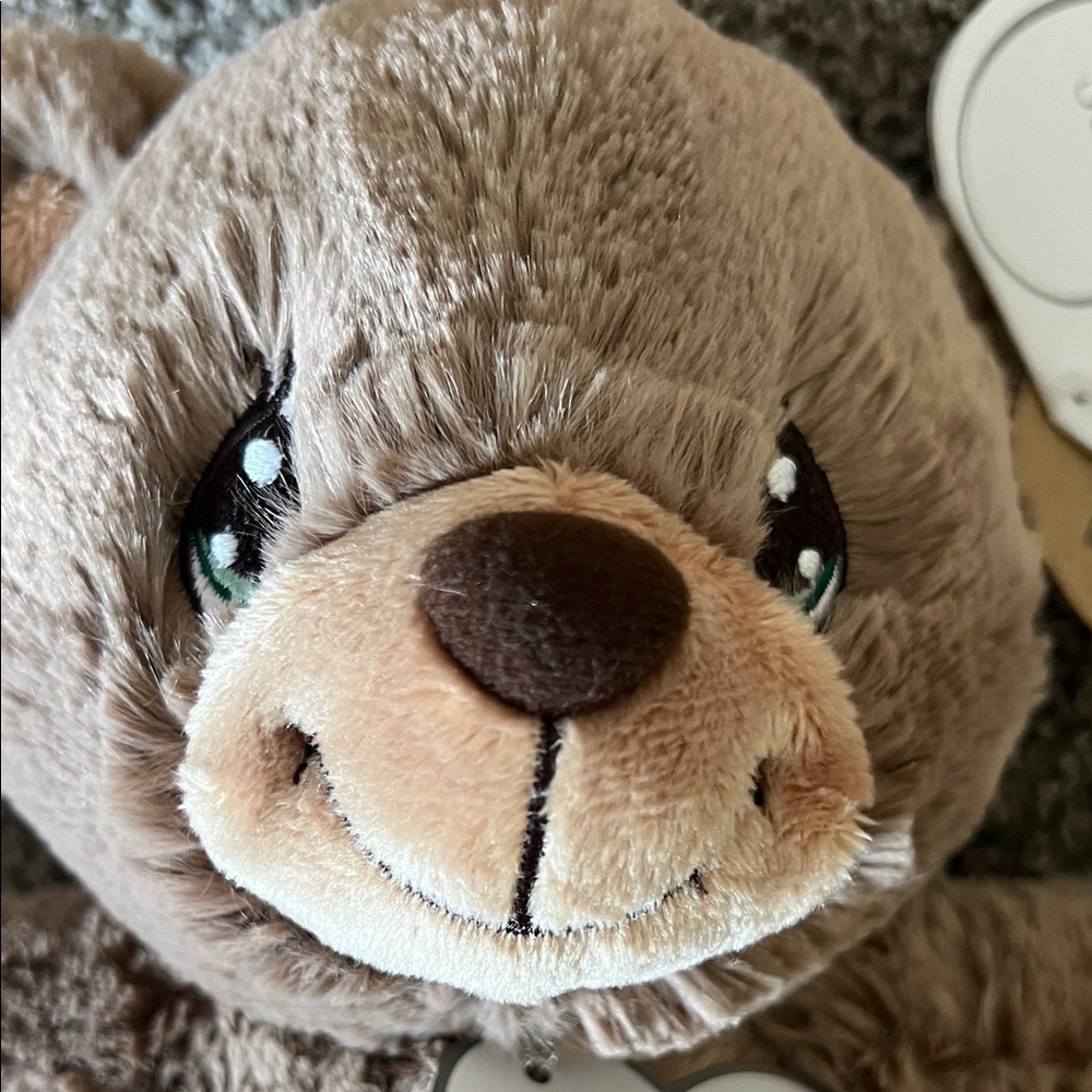 BNWT Precious Moments Barley Bear “Snuggle Me” super soft plush toy for baby! - Picture 7 of 9